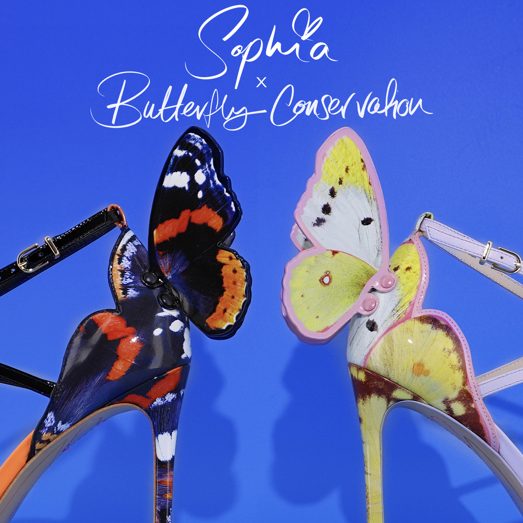 Butterfly Conservation | Sophia Webster Butterfly Conservation | Sophia Webster
